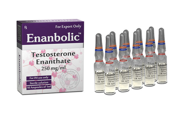 ENANTATO DE TESTOSTERONA 10 AMP (250MG)