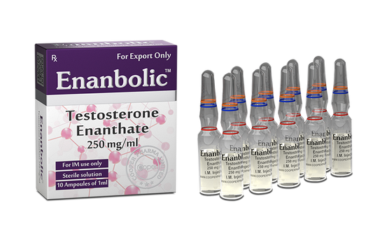 ENANTATO DE TESTOSTERONA 10 AMP (250MG)